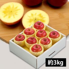 【数量限定】山形のりんご高徳(こうとく)約3kg(8~18玉入)