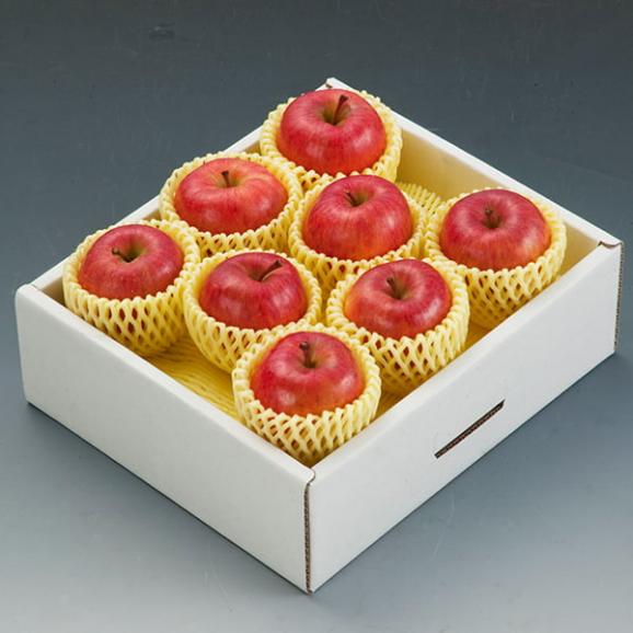 【数量限定】山形のりんご高徳(こうとく)約3kg(8~18玉入)03