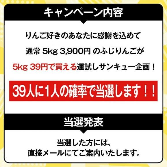 【ふじりんごが39円で買えるチャンス!39人に1人の確率で当選!】 訳ありりんご 山形のふじりんご 約5kg (玉数おまかせ)04