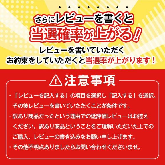 【ふじりんごが39円で買えるチャンス!39人に1人の確率で当選!】 訳ありりんご 山形のふじりんご 約5kg (玉数おまかせ)05