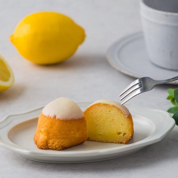 D.Joie／レモンケーキ6個入02