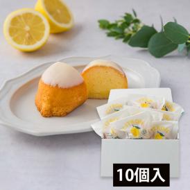 D.Joie／レモンケーキ10個入