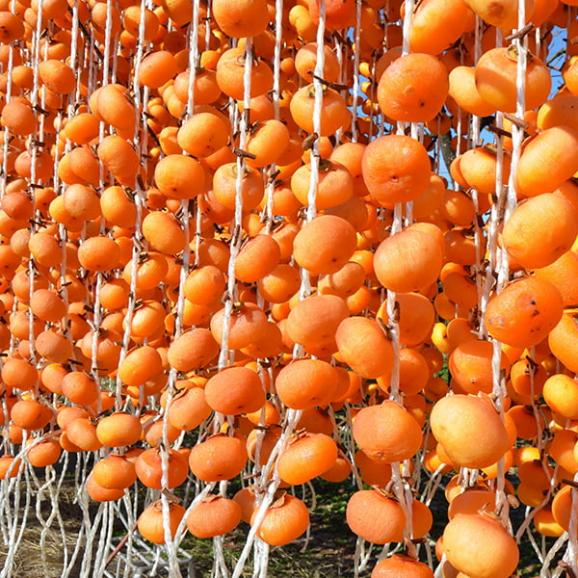 予約受付中：12月中旬頃より発送予定|須田青果園／紅干し柿 (4果×4袋入)06