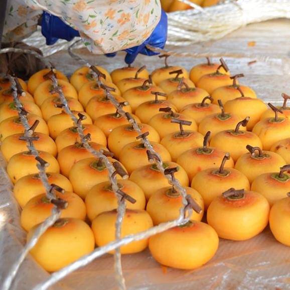 予約受付中：12月中旬頃より発送予定|須田青果園／紅干し柿 2Lサイズ(32果)02