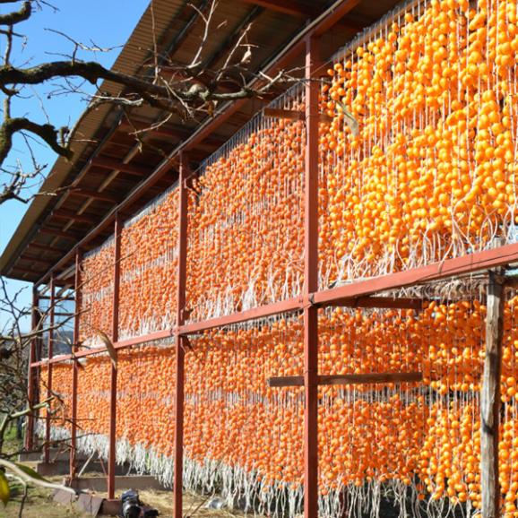 予約受付中：12月中旬頃より発送予定|須田青果園／紅干し柿 2Lサイズ(32果)03