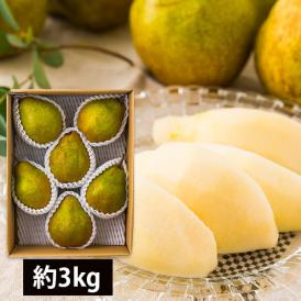 予約受付中：12月中旬頃より発送予定|ひかり農園／洋梨シルバーベル約3kg(5～6玉)