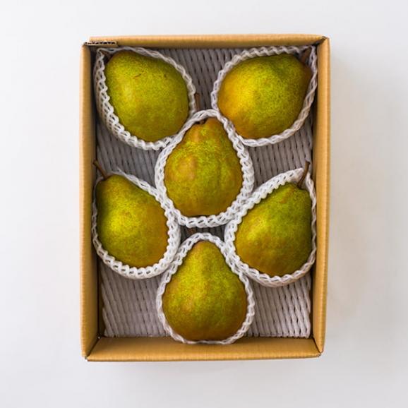 予約受付中:12月中旬頃より発送予定|ひかり農園/洋梨シルバーベル約3kg(5~6玉)03