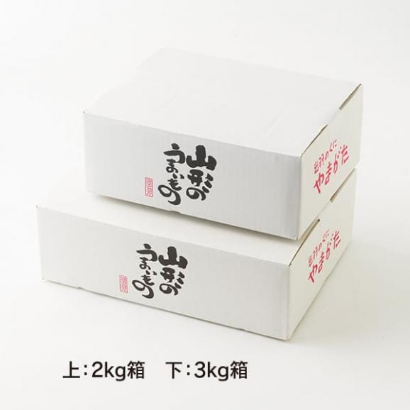 予約受付中:12月中旬頃より発送予定|ひかり農園/洋梨シルバーベル約3kg(5~6玉)04