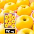 予約受付中:12月中旬頃より発送予定|朝日町の蜜入りりんご はるか約3kg(8~10玉)