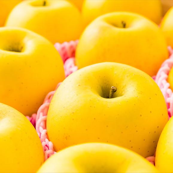 予約受付中:12月中旬頃より発送予定|朝日町の蜜入りりんご はるか約3kg(8~10玉)04