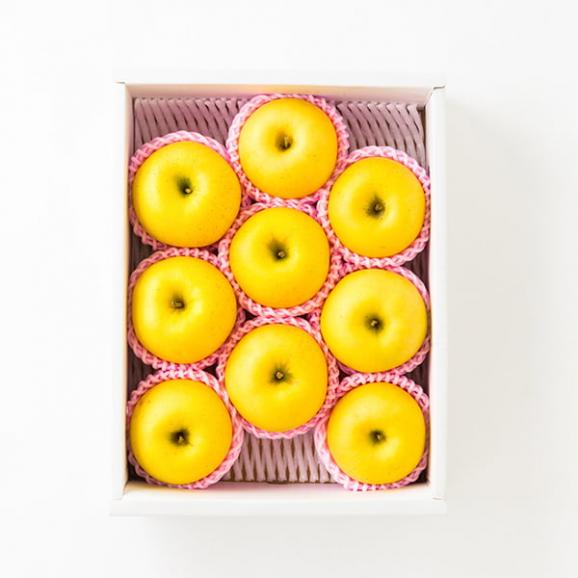 予約受付中:12月中旬頃より発送予定|朝日町の蜜入りりんご はるか約3kg(8~10玉)05