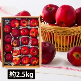 森谷果樹園／《訳あり》葉取らずりんご紅玉(こうぎょく)約2.5kg(玉数おまかせ)