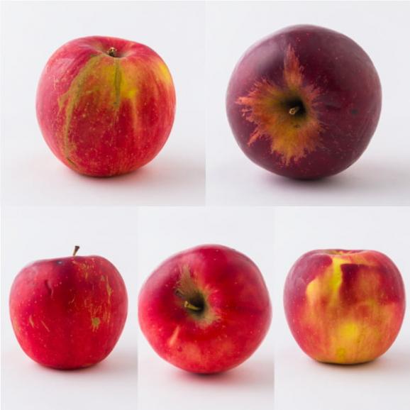 森谷果樹園/《訳あり》葉取らずりんご紅玉(こうぎょく)約2.5kg(玉数おまかせ)02