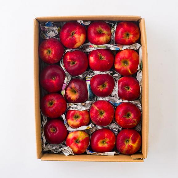 森谷果樹園/《訳あり》葉取らずりんご紅玉(こうぎょく)約2.5kg(玉数おまかせ)03