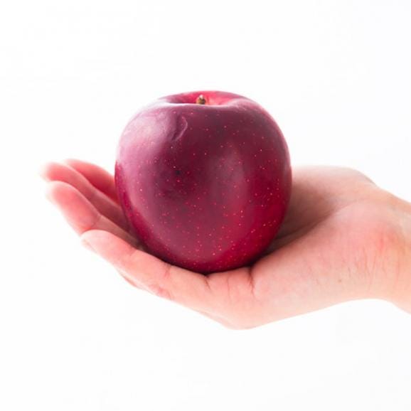 森谷果樹園/葉取らずりんご紅玉(こうぎょく)約1.5kg(8玉前後)02