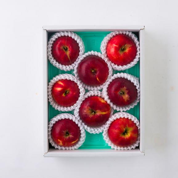 森谷果樹園/葉取らずりんご紅玉(こうぎょく)約1.5kg(8玉前後)03