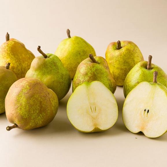 【年末SALE実施中!10%OFF】プレミアム洋梨ラフランス約5kg(5L~L/12~20玉)02