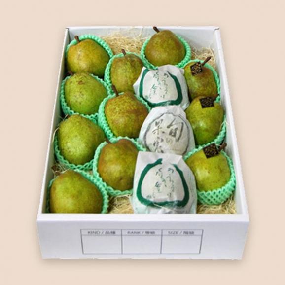 【年末SALE実施中!10%OFF】プレミアム洋梨ラフランス約5kg(5L~L/12~20玉)04