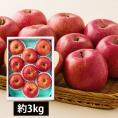 【数量限定】芳醇サンふじりんご約3kg(7～12玉)
