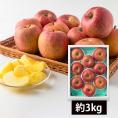 【数量限定】芳醇サンふじりんご約3kg(7~12玉)