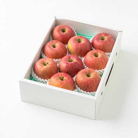 【数量限定】芳醇サンふじりんご約3kg(7~12玉)02
