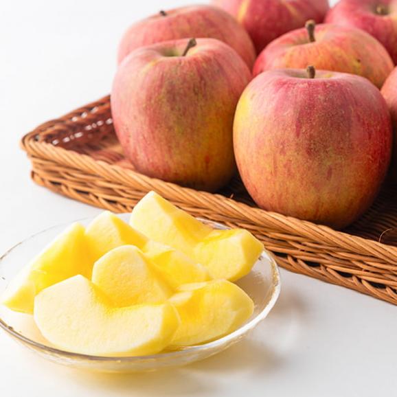 【数量限定】芳醇サンふじりんご約3kg(7~12玉)04