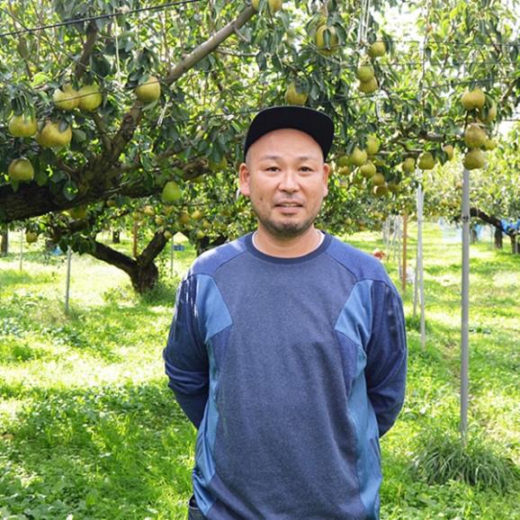 【数量限定】芳醇サンふじりんご約3kg(7~12玉)06