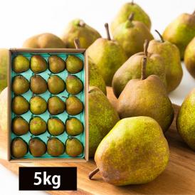 【生産者応援！】プレミアム洋梨ラフランス小玉約5kg(M～2L/18～24玉)