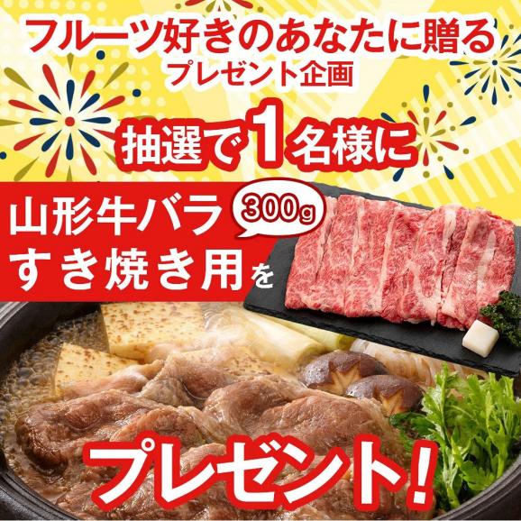 【新春福袋】山形旬のフルーツ詰め合わせ(C)山形の恵み 贅沢セット05