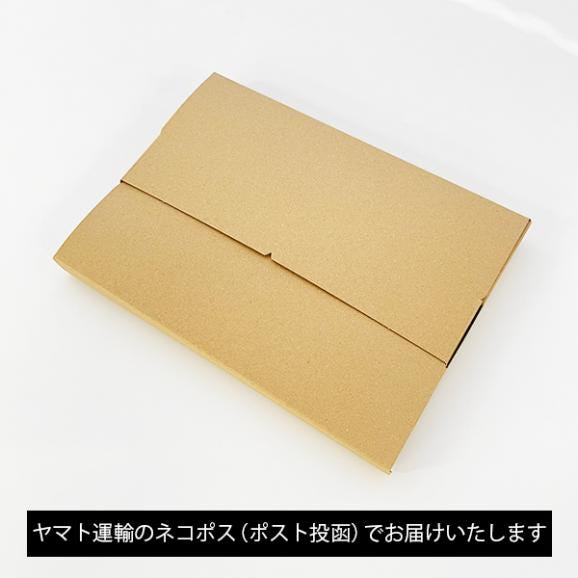 【ネコポス送料無料】はせ川製麺／朝日そば2袋セット(半生麺・めんつゆ付)06