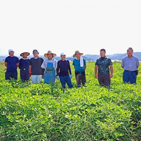 【節分の日】山形の殻つき落花生ビーナッツ2袋(200g×2)06