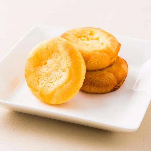 酒田菓匠菊池／鳥海高原ヨーグルトタルト6個入03