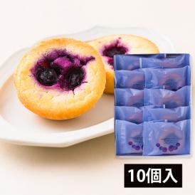 酒田菓匠菊池／月山高原ブルーベリーチーズケーキ10個入