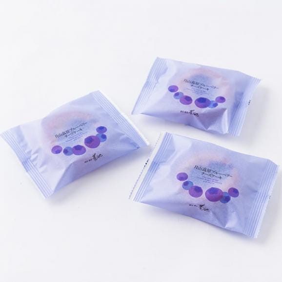 酒田菓匠菊池／月山高原ブルーベリーチーズケーキ10個入02