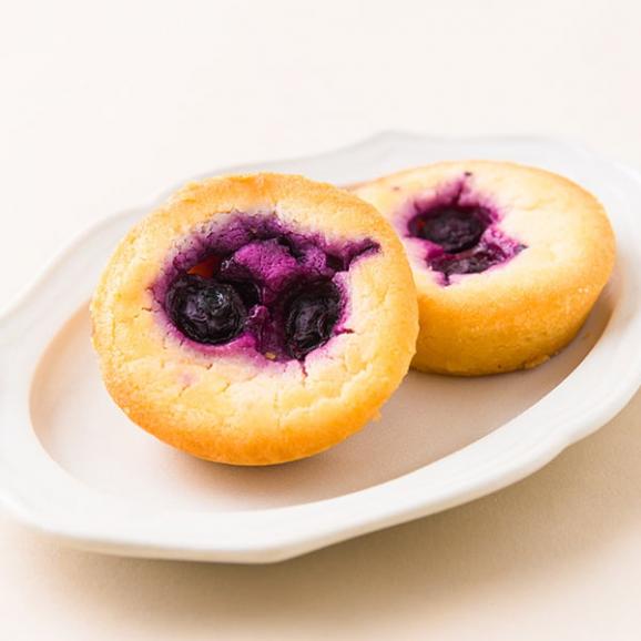 酒田菓匠菊池／月山高原ブルーベリーチーズケーキ5個入03