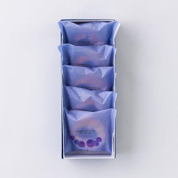 酒田菓匠菊池／月山高原ブルーベリーチーズケーキ5個入05