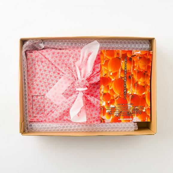 【旅する特産品】保科栄男商店／ほしな之あんぽ柿&reg;15個(3Lサイズ)03