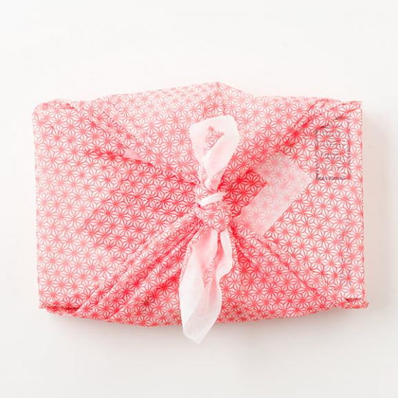 【旅する特産品】保科栄男商店／ほしな之あんぽ柿&reg;12個(3Lサイズ)02