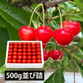 予約受付中：6月中旬頃より発送予定|大粒芳醇さくらんぼ佐藤錦500g並び詰2Lサイズ