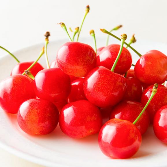 予約受付中:6月中旬頃より発送予定|大粒芳醇さくらんぼ佐藤錦500g並び詰2Lサイズ04