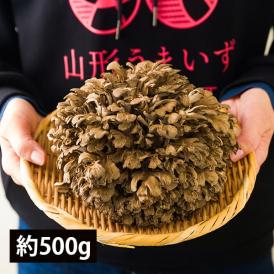 最上まいたけ／コクうま舞茸