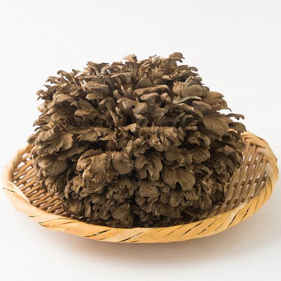 最上まいたけ／コクうま舞茸04