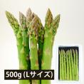 予約受付中：5月中旬頃より発送予定|銀山アスパラガス500g(Lサイズ)