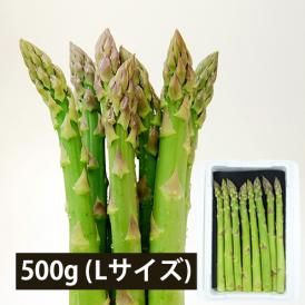 予約受付中：5月中旬頃より発送予定|銀山アスパラガス500g(Lサイズ)