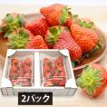 山形県東根市産いちご姫(約280g×2パック)