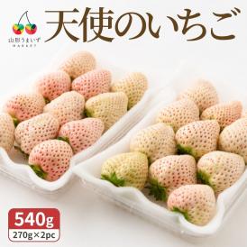 【2026年完売】2027年1月頃～予約開始予定|天使のいちご(約270g×2パック)