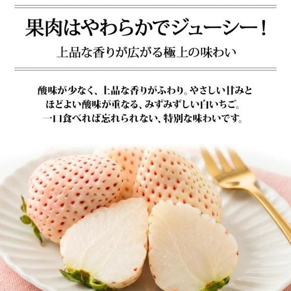 【2026年完売】2027年1月頃~予約開始予定|天使のいちご(約270g×2パック)03