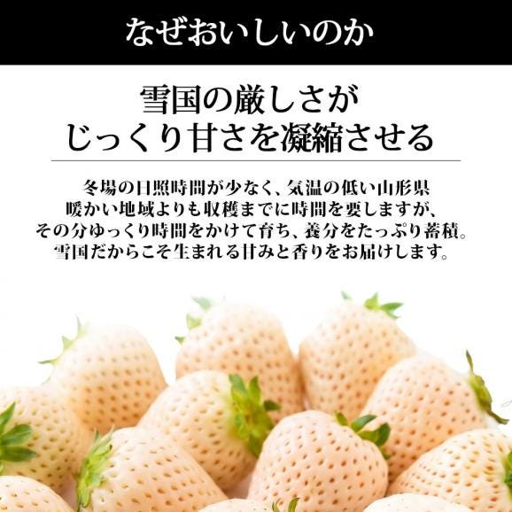 【2026年完売】2027年1月頃~予約開始予定|天使のいちご(約270g×2パック)04