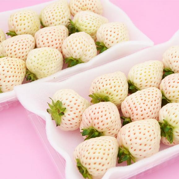 天使のいちご(約270g×2パック)04
