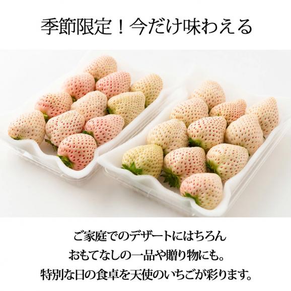 【2026年完売】2027年1月頃~予約開始予定|天使のいちご(約270g×2パック)06